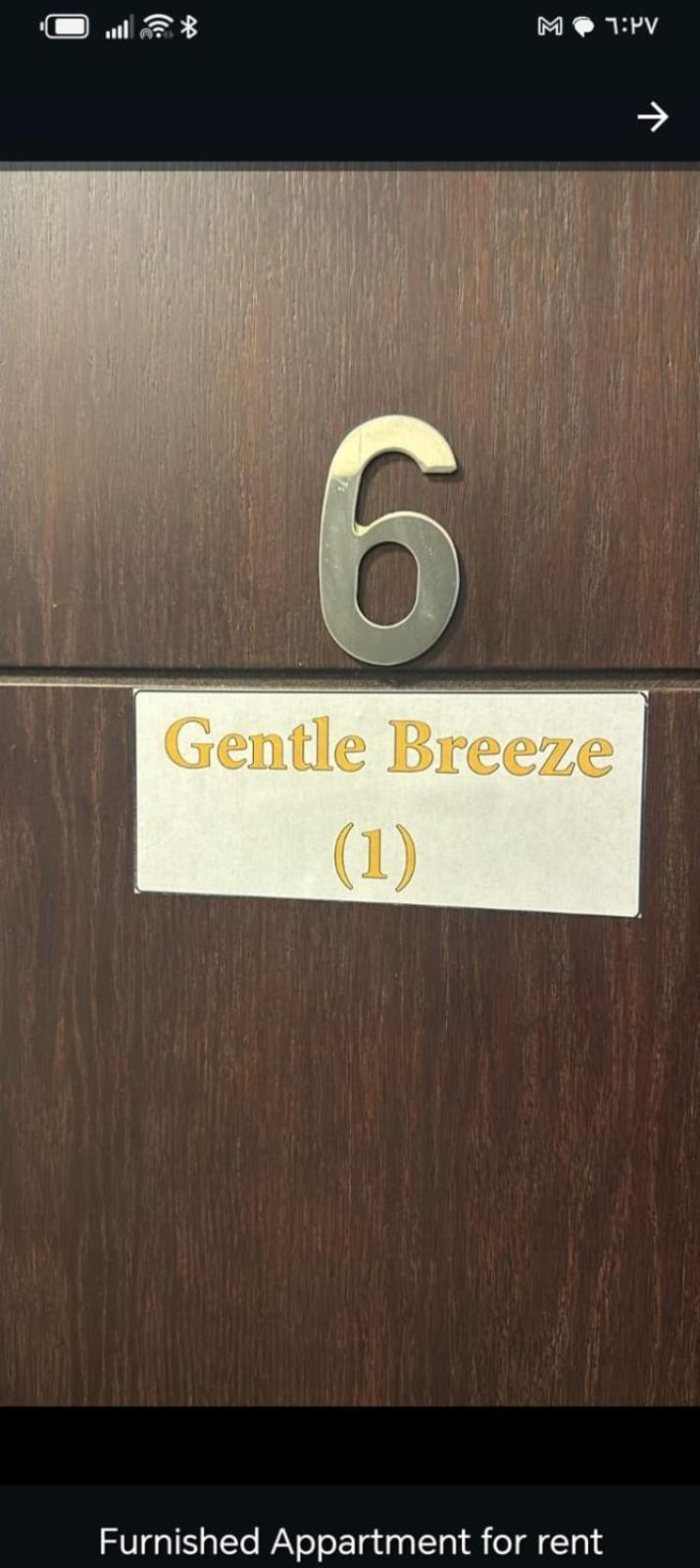 Gentle Breeze Studio 2 Amman Exteriör bild